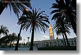 images/California/SanFrancisco/PortSF/clock-tower-n-palm_trees-2.jpg