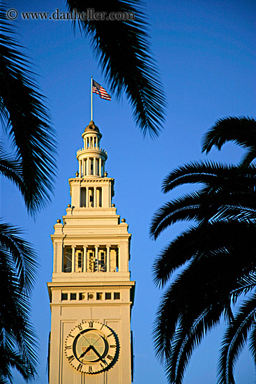 clock-tower-n-palm_trees-3.jpg