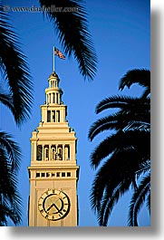 images/California/SanFrancisco/PortSF/clock-tower-n-palm_trees-3.jpg