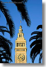 images/California/SanFrancisco/PortSF/clock-tower-n-palm_trees-4.jpg