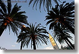 images/California/SanFrancisco/PortSF/clock-tower-n-palm_trees-5.jpg