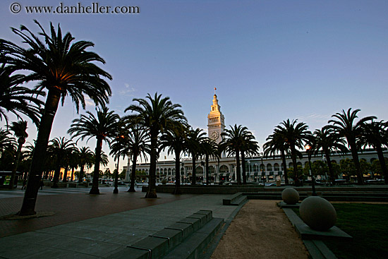 clock-tower-n-palm_trees-7.jpg