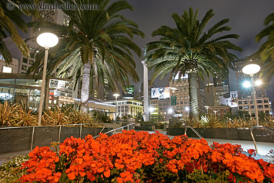 flowers-n-palm_trees.jpg