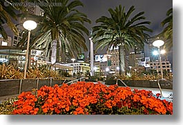 images/California/SanFrancisco/UnionSquare/flowers-n-palm_trees.jpg