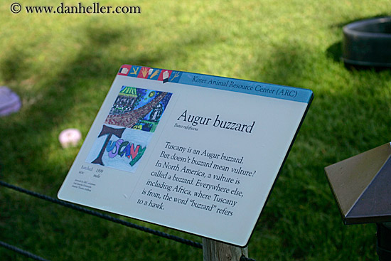 augur-buzzard-sign.jpg