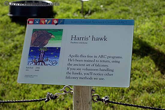 harris-hawk-sign.jpg