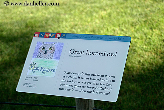 great-horned-owl-sign.jpg