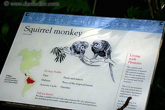 squirrel-monkey-sign.jpg