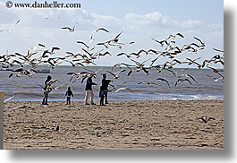 images/California/SantaBarbara/Beach/birds-n-family.jpg
