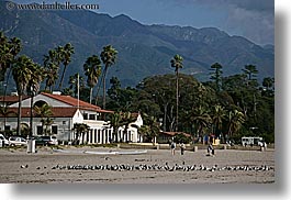 images/California/SantaBarbara/Beach/bldg-palm_trees-mtns-beach-birds.jpg