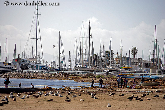 ppl-n-birds-on-beach-w-sailboats.jpg