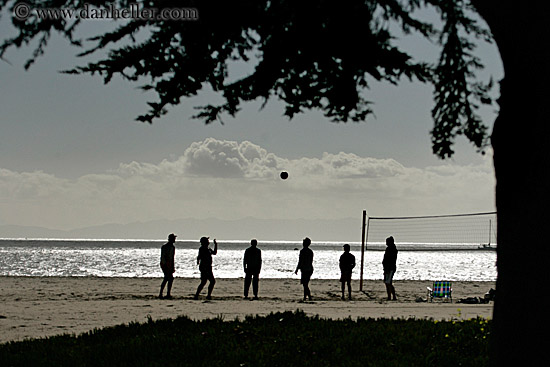 volley-ball-sil.jpg