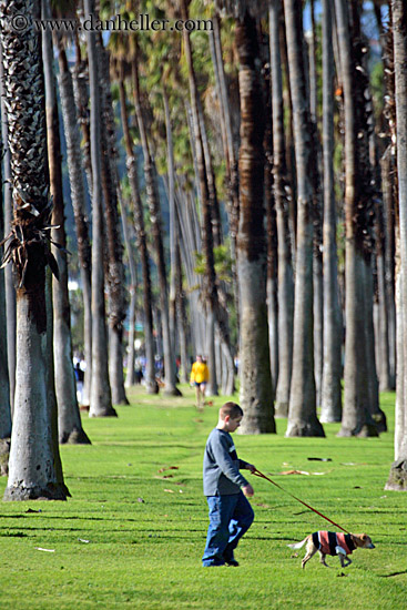 boy-walking-dog-in-palms.jpg