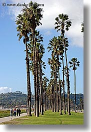 images/California/SantaBarbara/Trees/pedestrians-on-path-2.jpg