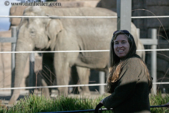 jill-n-elephants.jpg