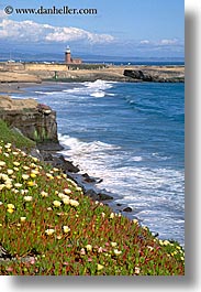 images/California/SantaCruz/Coastline/ice_plants-shoreline-n-lighthouse.jpg
