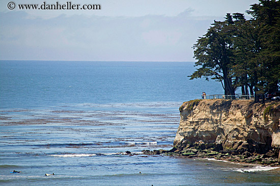 tree-cliff-1.jpg