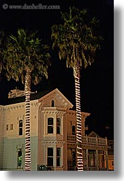 images/California/SantaCruz/Misc/victorian-house-n-lighted-palm_trees.jpg