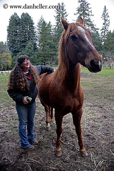 allie-n-horse-3.jpg