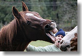 images/California/SantaCruz/People/AllieKeener/horse-laugh-2.jpg