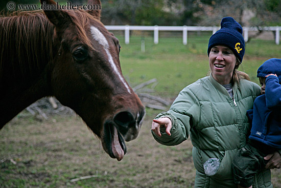 horse-tongue.jpg