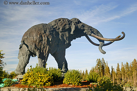 woolley_mammoth.jpg