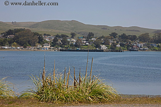 bodega-bay.jpg