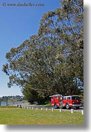 images/California/Sonoma/BodegaBay/Misc/fire_truck-n-tall-trees.jpg