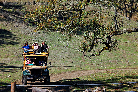 truck-of-tourists-2.jpg