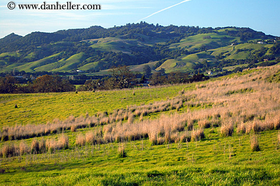 green-hills-n-open-space.jpg