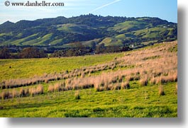 images/California/Sonoma/Scenics/green-hills-n-open-space.jpg