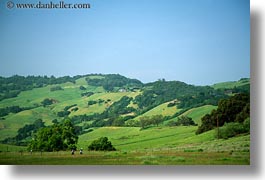 images/California/Sonoma/Scenics/hikers-n-green-hills.jpg