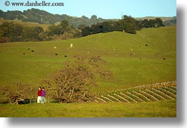 images/California/Sonoma/Scenics/hikers-n-vineyards.jpg