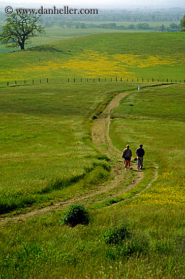 hiking-path-3.jpg