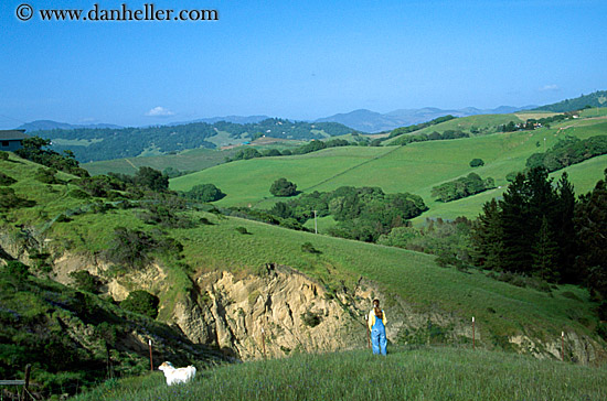 jill-n-dog-viewing-scenic.jpg