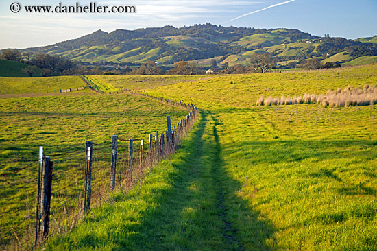 long-fence-n-green-fields-1.jpg