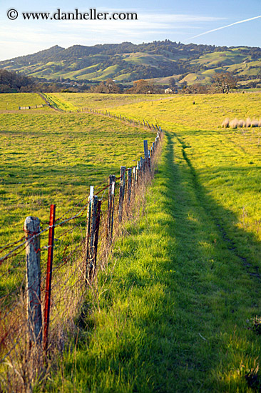 long-fence-n-green-fields-2.jpg