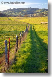 images/California/Sonoma/Scenics/long-fence-n-green-fields-2.jpg