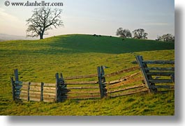 images/California/Sonoma/Scenics/long-fence-n-green-fields-3.jpg