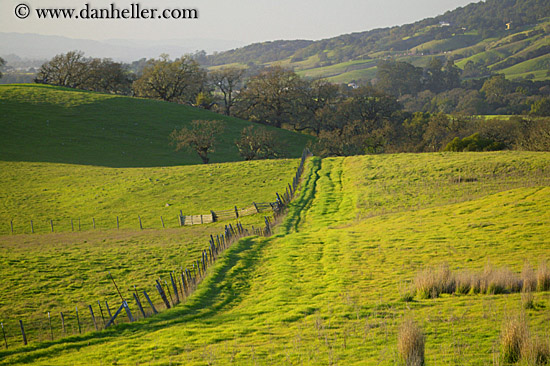 long-fence-n-green-fields-7.jpg