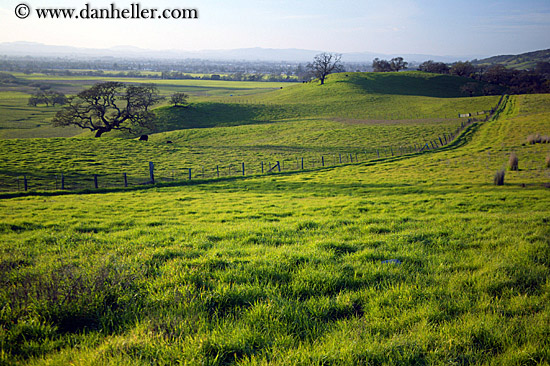 long-fence-n-green-fields-8.jpg