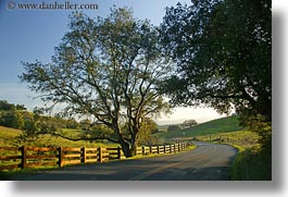 images/California/Sonoma/Scenics/road-n-trees.jpg