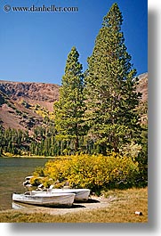 images/California/VirginiaLakes/fishing-boats-n-trees.jpg