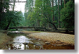 images/California/Yosemite/Bridges/curved-tree-over-bridge-1.jpg