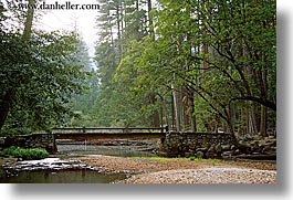 bridge, california, curved, forests, horizontal, nature, over, plants, stream, structures, trees, west coast, western usa, yosemite, photograph