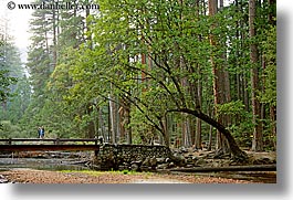 images/California/Yosemite/Bridges/jnj-on-bridge-n-redwoods-2.jpg