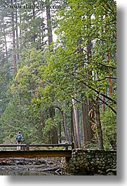 images/California/Yosemite/Bridges/jnj-on-bridge-n-redwoods-3.jpg