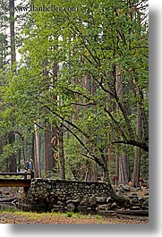 images/California/Yosemite/Bridges/jnj-on-bridge-n-redwoods-5.jpg