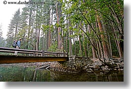 images/California/Yosemite/Bridges/jnj-on-bridge-n-redwoods-7.jpg