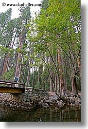 images/California/Yosemite/Bridges/jnj-on-bridge-n-redwoods-9.jpg